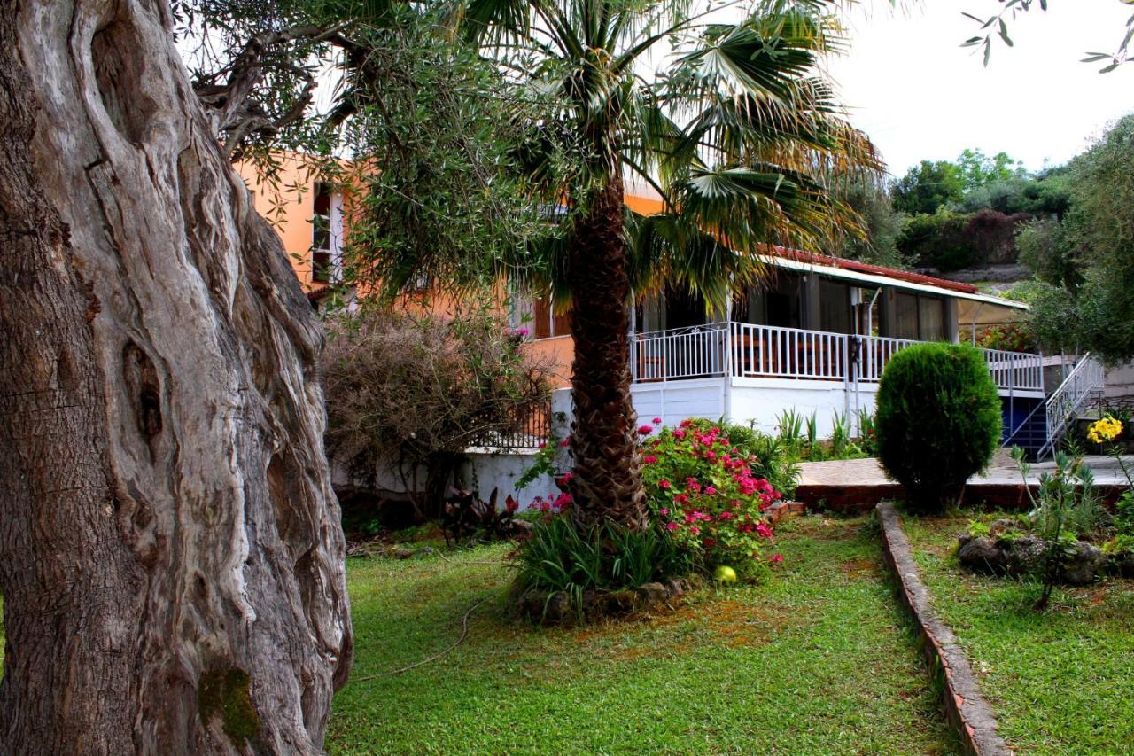 דאסיה Tina Hotel מראה חיצוני תמונה